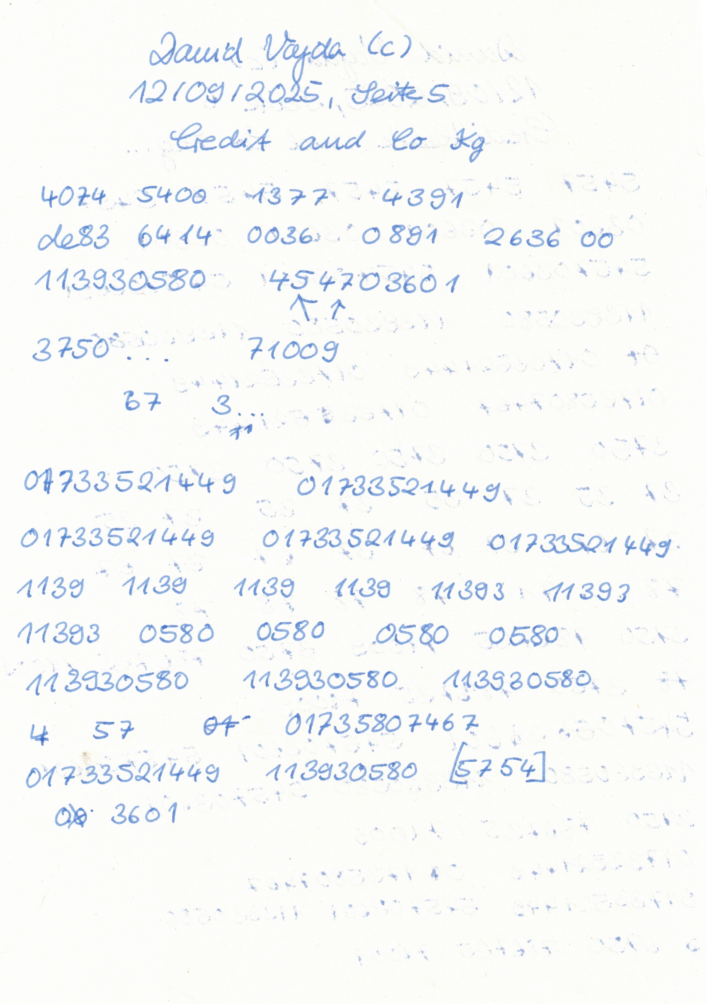 Image 202512112045_59