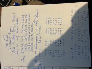 Image image5